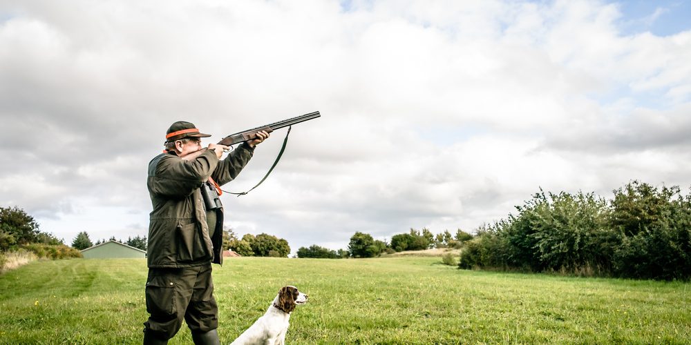 chien de chasse