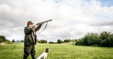 chien de chasse